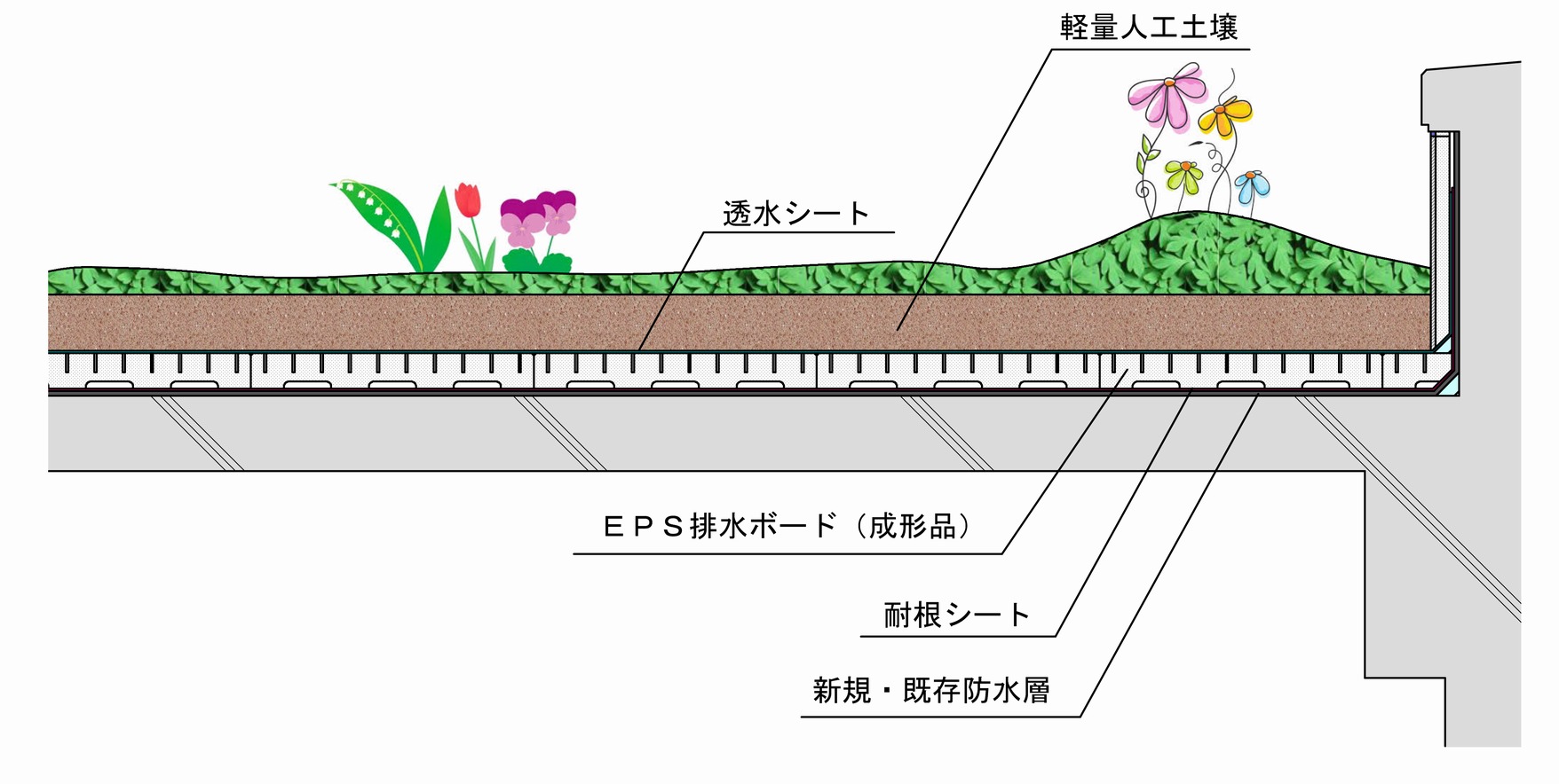 屋上緑化(EPS排水下地材)